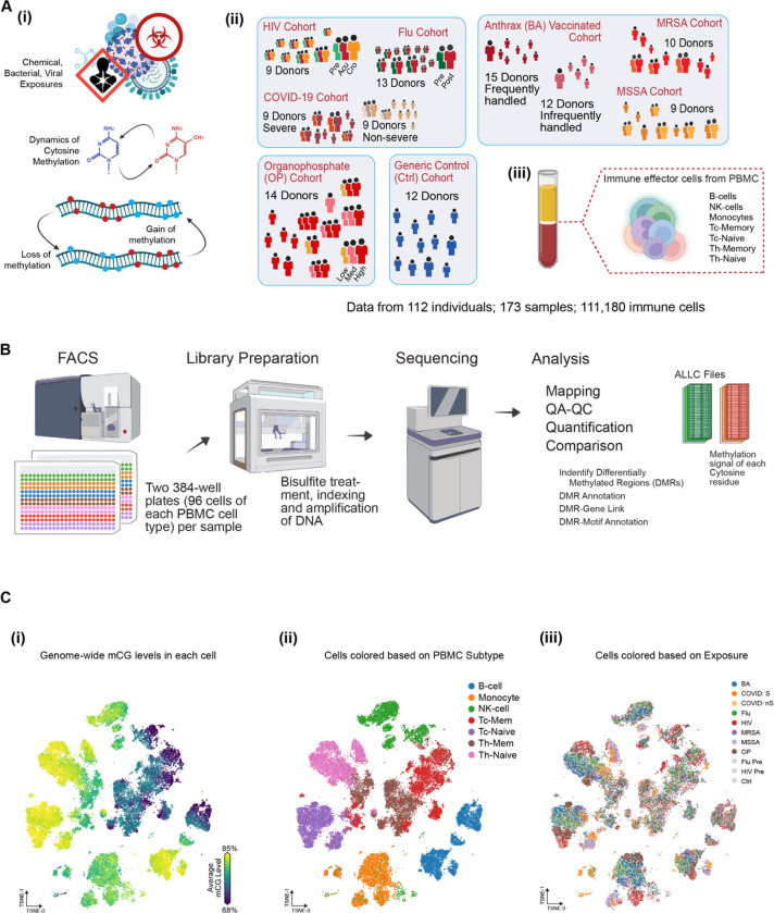 Genetics and Environment Distinctively Shape the Human Immune Cell Epigenome.