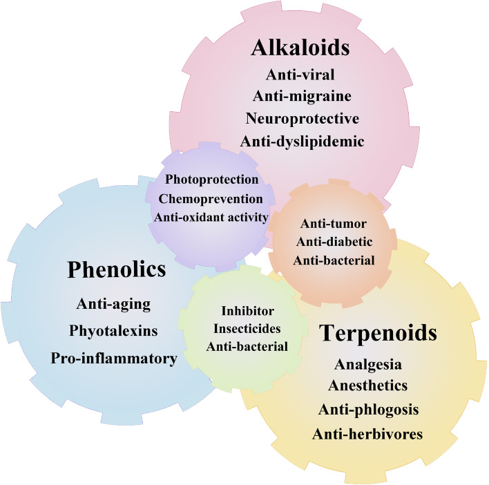 Multilayered regulation of secondary metabolism in medicinal plants.