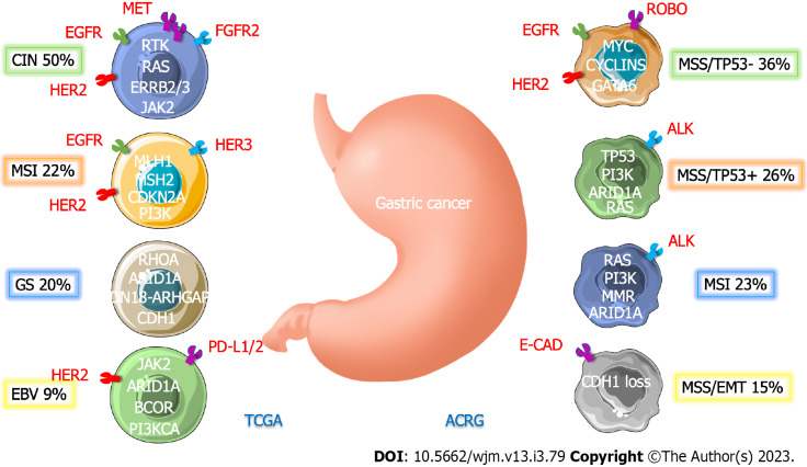 Immunotherapy for advanced gastric cancer.