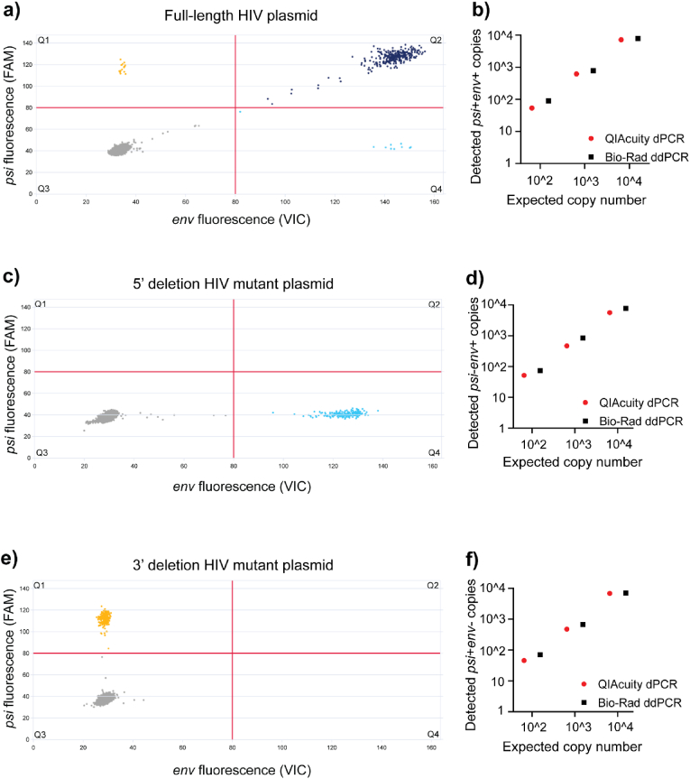 Adaptation of the intact proviral DNA assay to a nanowell-based digital PCR platform