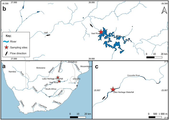 Biomineralisation and metal sequestration in a crustacean ectoparasite infecting the gills of a freshwater fish.