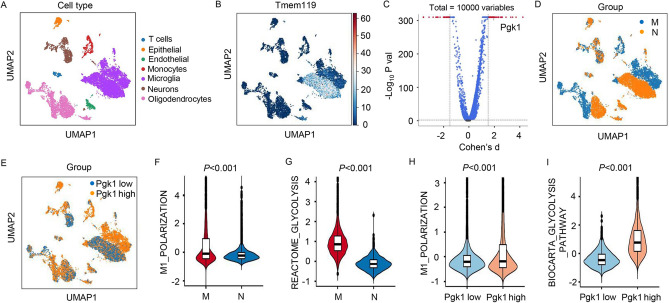 The Role of PGK1 in Promoting Ischemia/Reperfusion Injury-Induced Microglial M1 Polarization and Inflammation by Regulating Glycolysis.