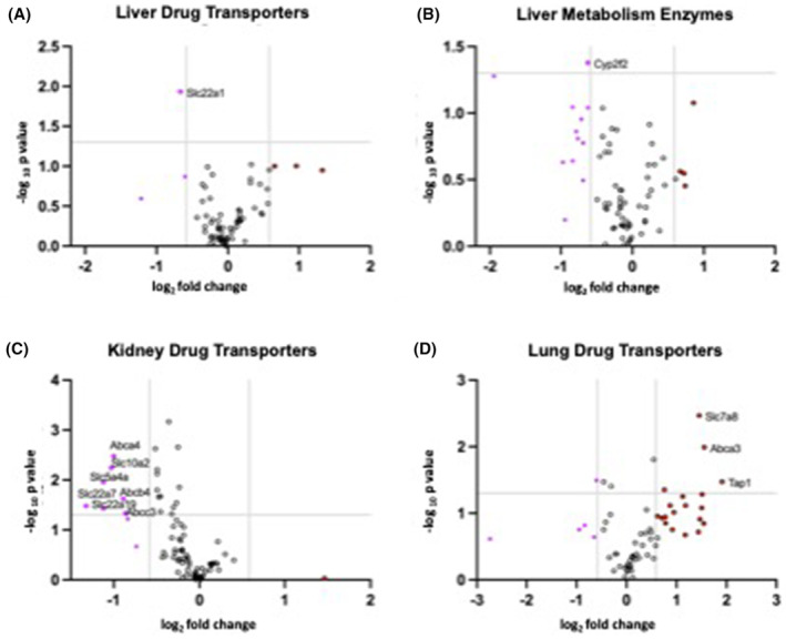 The influence of SARS-CoV-2 infection on expression of drug-metabolizing enzymes and transporters in a hACE2 murine model.