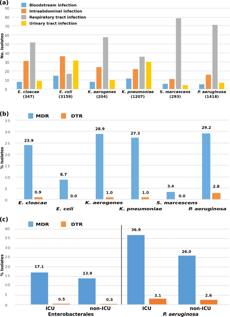 Activity of imipenem/relebactam against Enterobacterales and Pseudomonas aeruginosa in Spain. SMART 2016-2020.