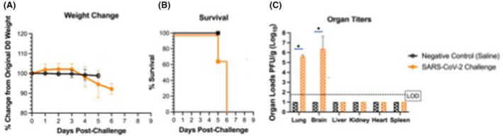 The influence of SARS-CoV-2 infection on expression of drug-metabolizing enzymes and transporters in a hACE2 murine model.