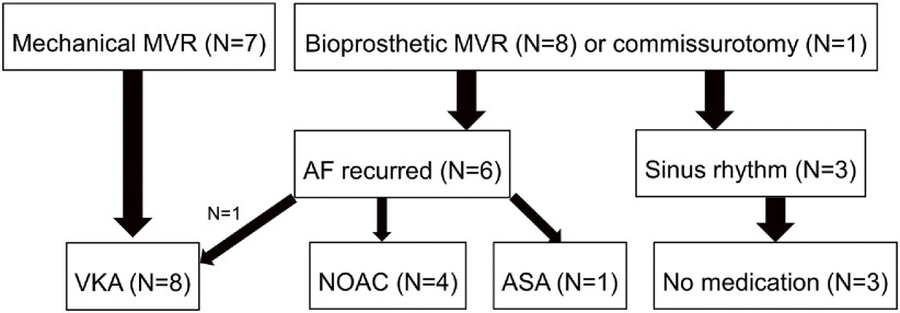 Long-Term Outcomes of the Maze Procedure Combined with Endoatriectomy for Patients with Calcified Left Atria.