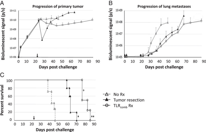 TLR Agonist Therapy of Metastatic Breast Cancer in Mice.