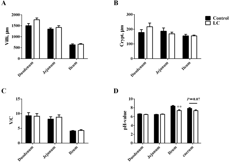 Low Ca diet leads to increased Ca retention by changing the gut flora and ileal pH value in laying hens