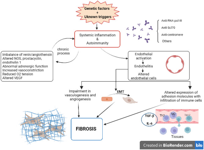 A Narrative Review of Pathogenetic and Histopathologic Aspects, Epidemiology, Classification Systems, and Disease Outcome Measures in Systemic Sclerosis.