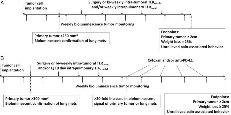 TLR Agonist Therapy of Metastatic Breast Cancer in Mice.