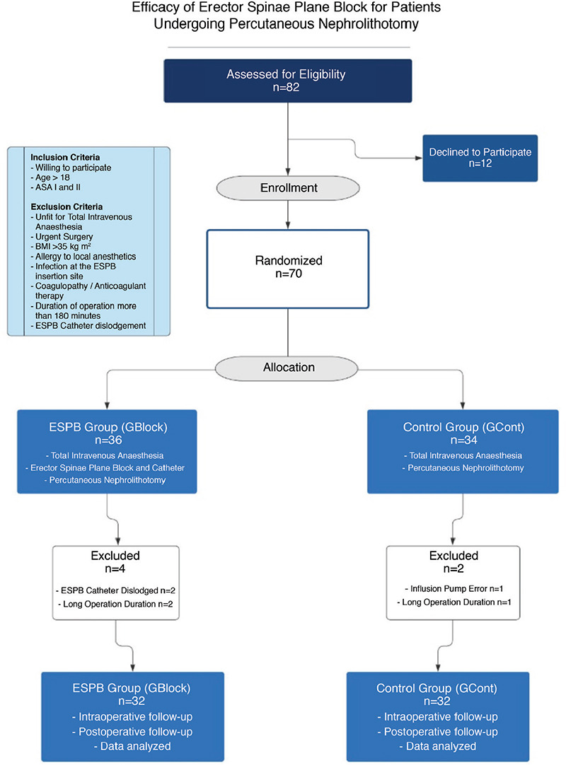 The Efficacy of Erector Spinae Plane Block for Patients Undergoing Percutaneous Nephrolithotomy.