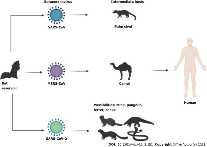 Impacts of SARS-CoV-2 on diabetes mellitus: A pre and post pandemic evaluation.