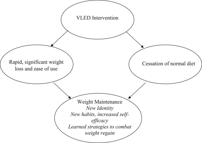 Postmenopausal women's experiences of weight maintenance following a very low energy diet.