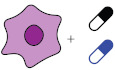 Multiplying insights from perturbation experiments: predicting new perturbation combinations.