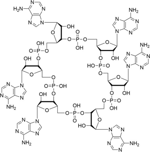 Putative nucleotide-based second messengers in archaea.