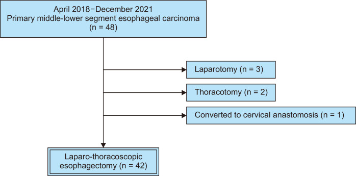 Intrathoracic anastomosis using handsewn purse-string suturing by the double-ligation method in laparo-thoracoscopic esophagectomy.