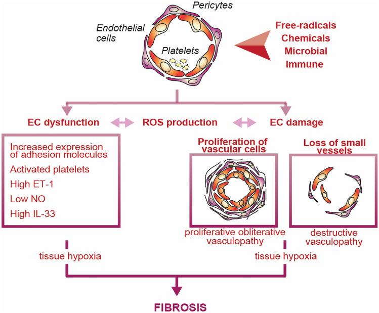 Current Concepts on the Pathogenesis of Systemic Sclerosis.