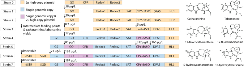 Improved protein glycosylation enabled heterologous biosynthesis of monoterpenoid indole alkaloids and their unnatural derivatives in yeast