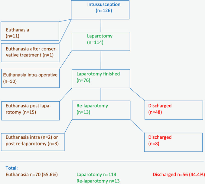 A retrospective review of small intestinal intussusception in 126 cattle in Switzerland.