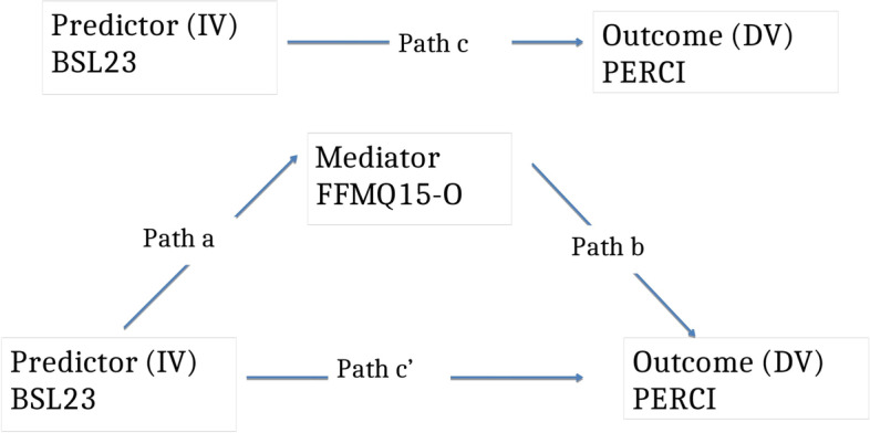 Does trait mindfulness mediate the relationship between borderline personality symptoms and emotion dysregulation?