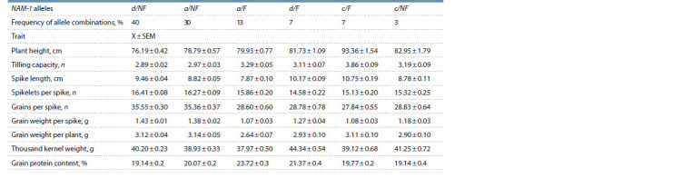 Effect of NAM-1 genes on the protein content in grain and productivity indices in common wheat lines with foreign genetic material introgressions in the conditions of Belarus.