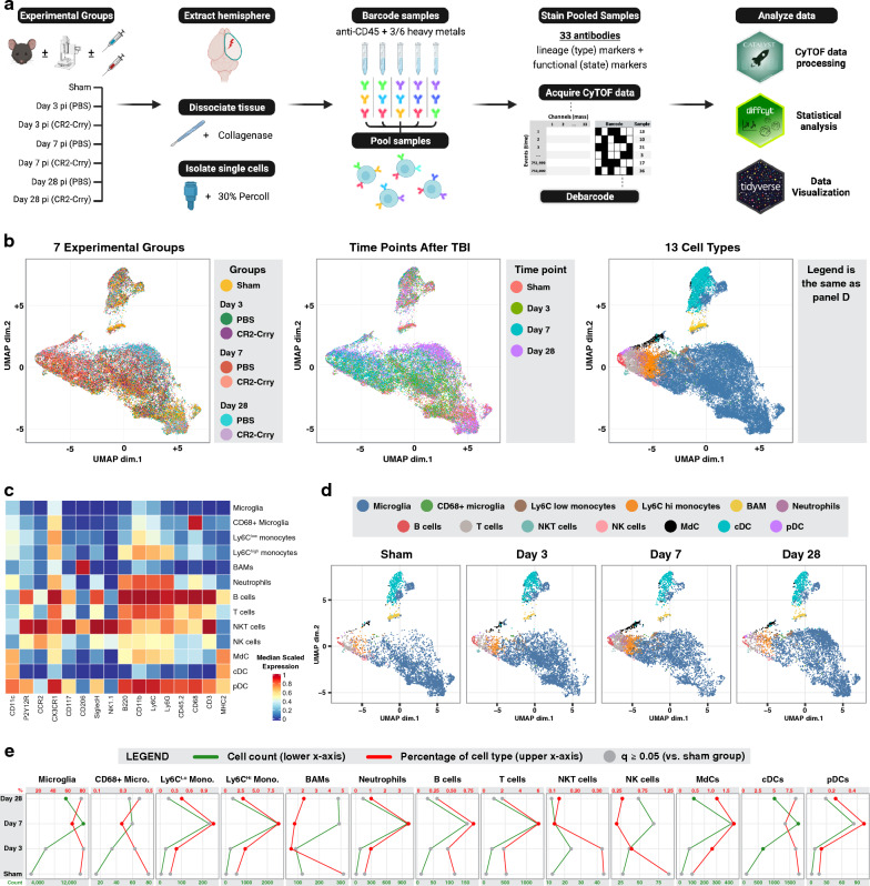 Mass cytometric analysis of the immune cell landscape after traumatic brain injury elucidates the role of complement and complement receptors in neurologic outcomes.