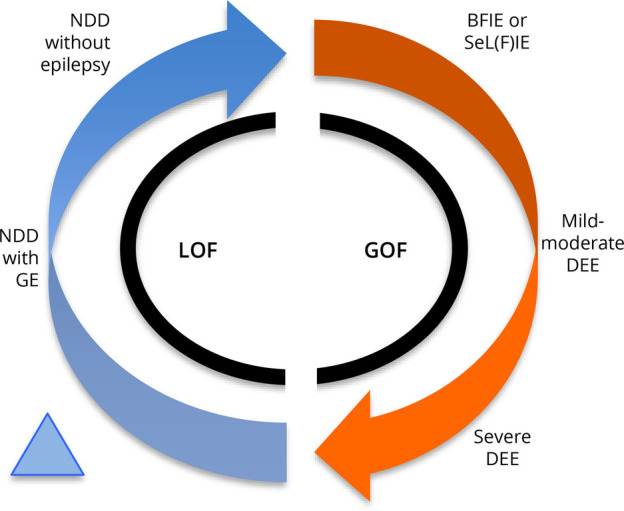 Distinguishing Loss-of-Function and Gain-of-Function <i>SCN8A</i> Variants Using a Random Forest Classification Model Trained on Clinical Features.