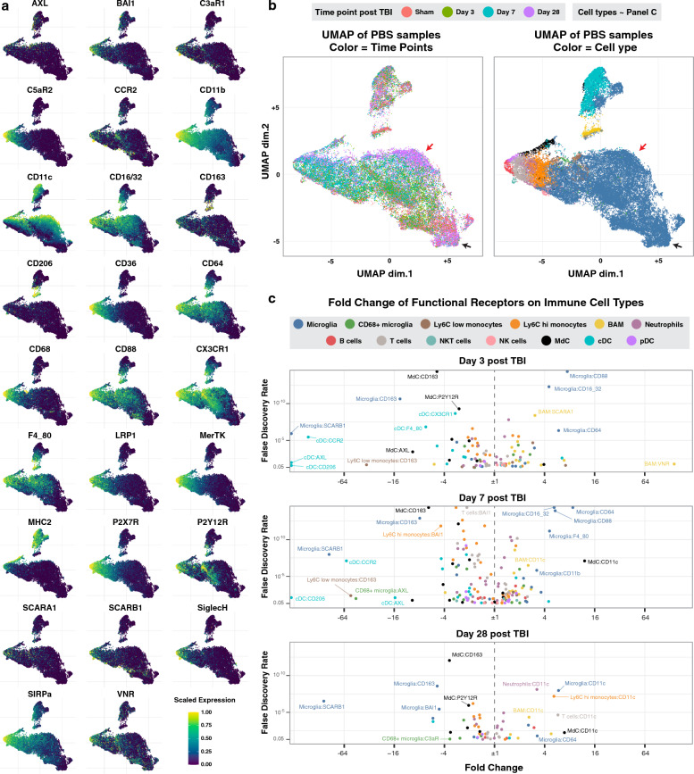 Mass cytometric analysis of the immune cell landscape after traumatic brain injury elucidates the role of complement and complement receptors in neurologic outcomes.