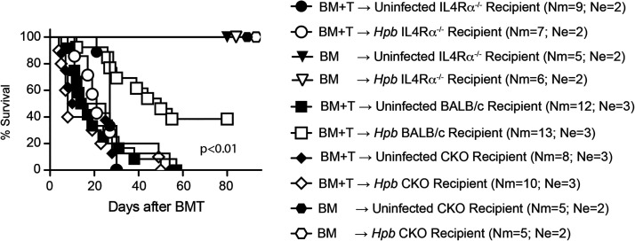 After Bone Marrow Transplantation, the Cell-Intrinsic Th2 Pathway Promotes Recipient T Lymphocyte Survival and Regulates Graft-versus-Host Disease.