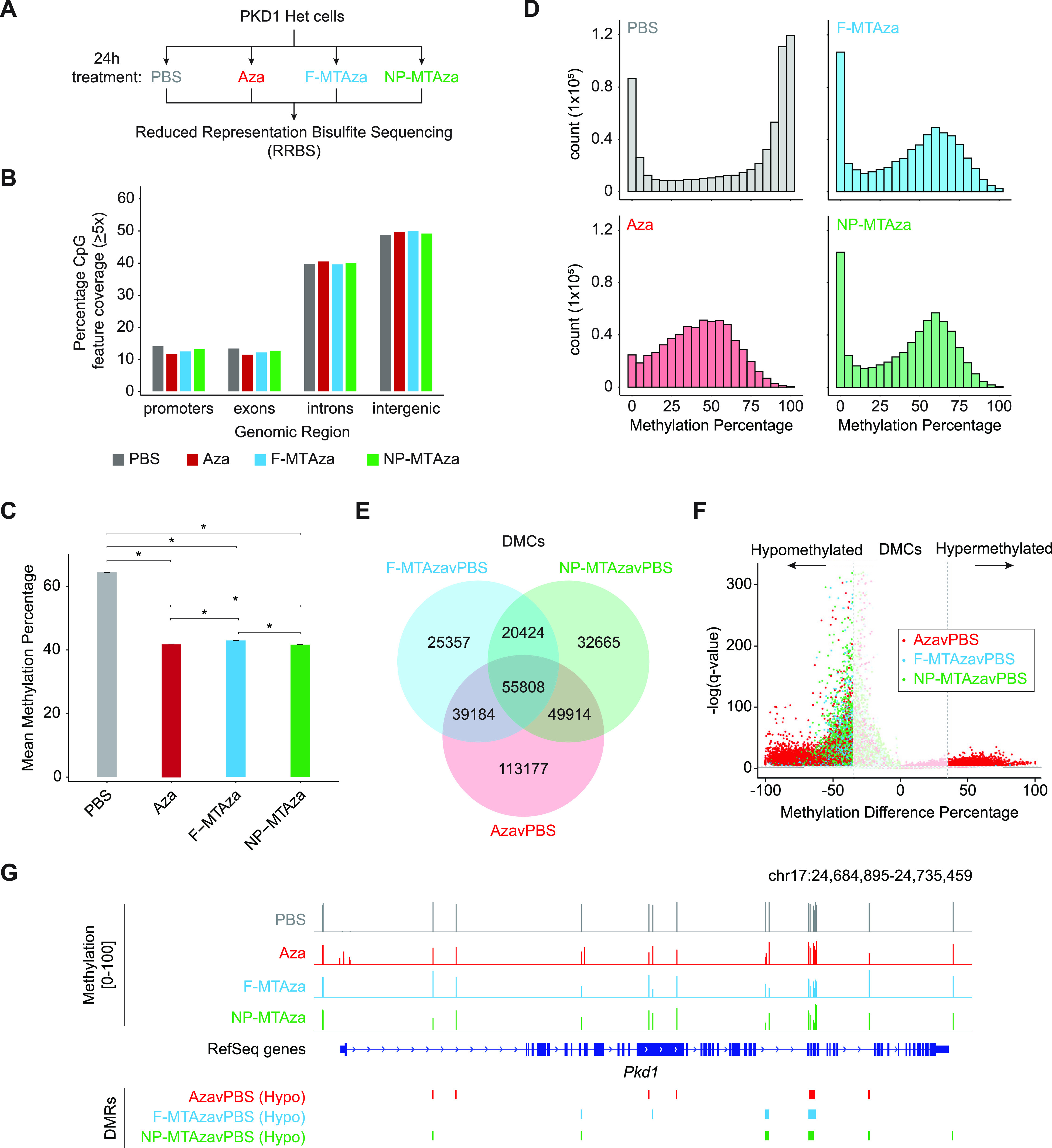 Targeting the ADPKD methylome using nanoparticle-mediated combination therapy.