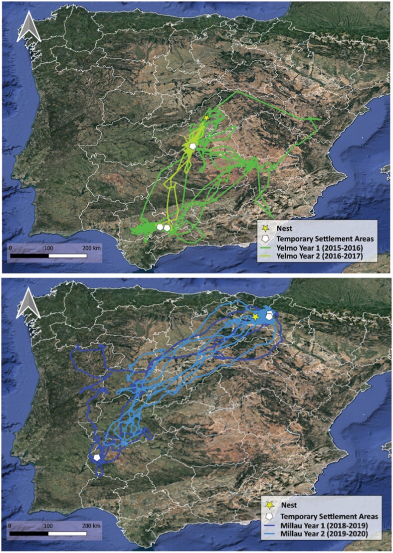 The variability of juvenile dispersal in an opportunistic raptor.