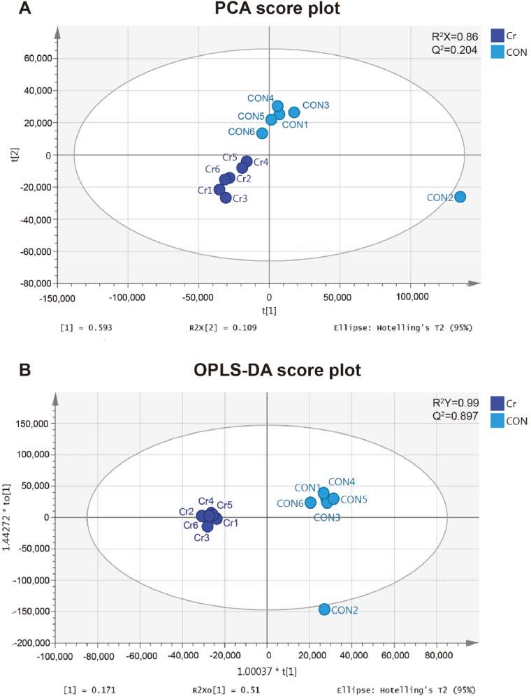 Plasma metabolic profiling reveals that chromium yeast alleviates the negative effects of heat stress in mid-lactation dairy cows