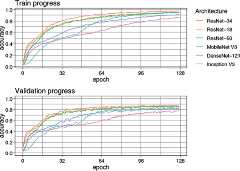 Classification of racehorse limb radiographs using deep convolutional neural networks.