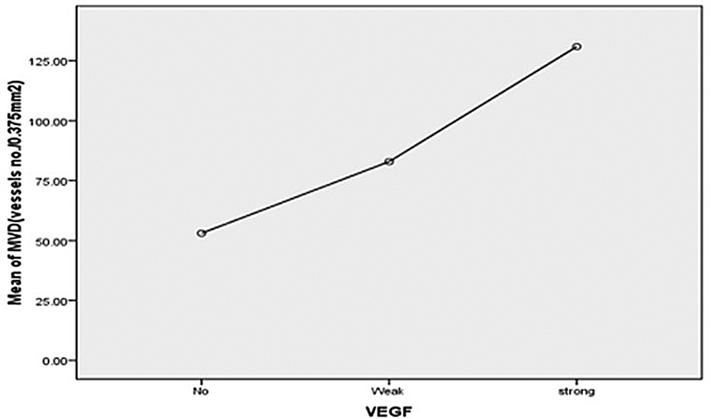 Histopathological Evaluation of Angiogenic Markers in Non-Hodgkin's Lymphoma.