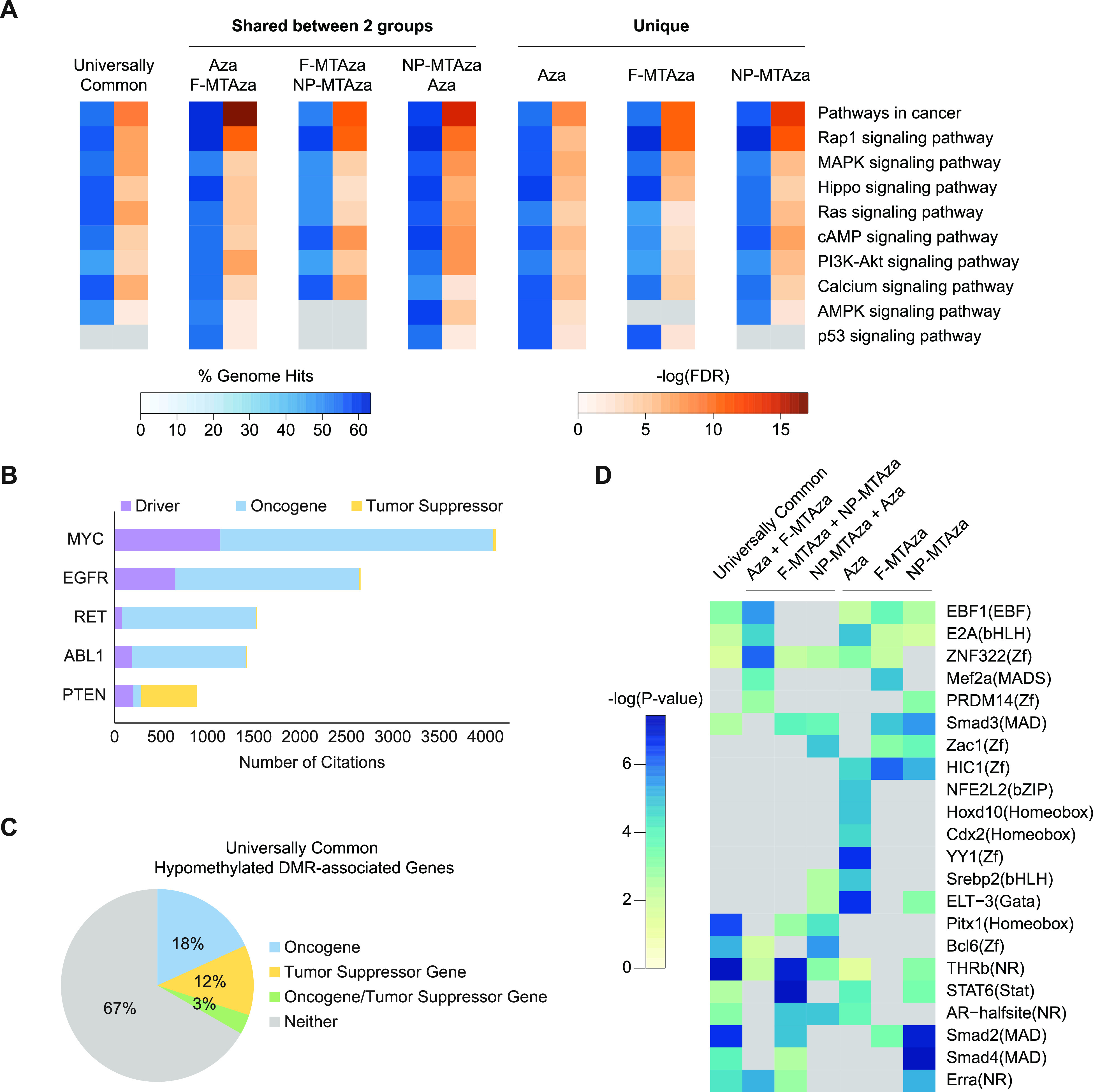 Targeting the ADPKD methylome using nanoparticle-mediated combination therapy.