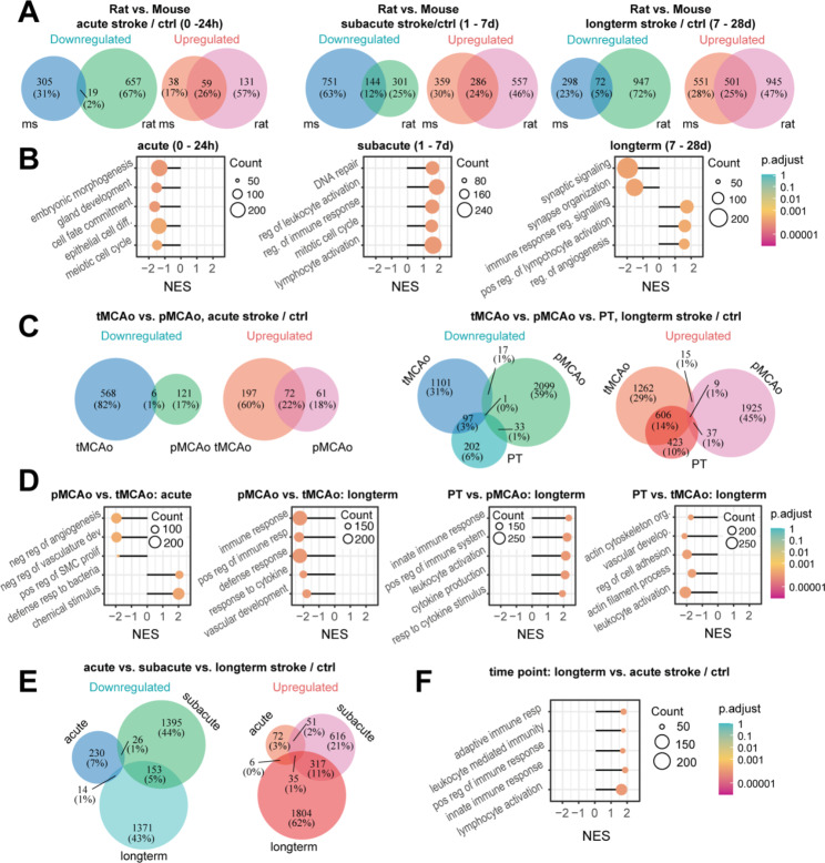Ischemic stroke-related gene expression profiles across species: a meta-analysis.