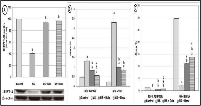 Resveratrol and Dulaglutide ameliorate adiposity and liver dysfunction in rats with diet-induced metabolic syndrome: Role of SIRT-1 / adipokines / PPARγ and IGF-1.