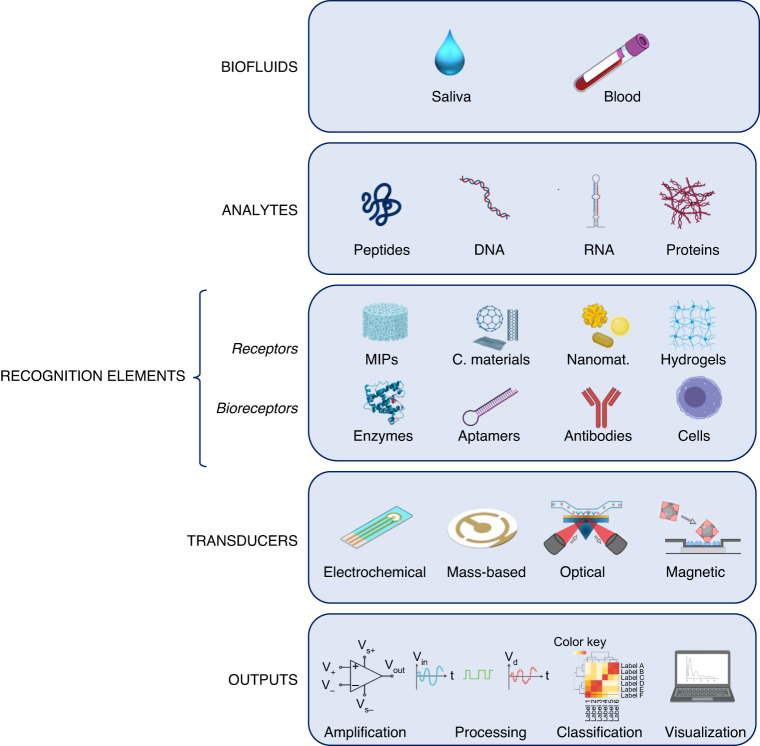 Salivary biomarkers: novel noninvasive tools to diagnose chronic inflammation.