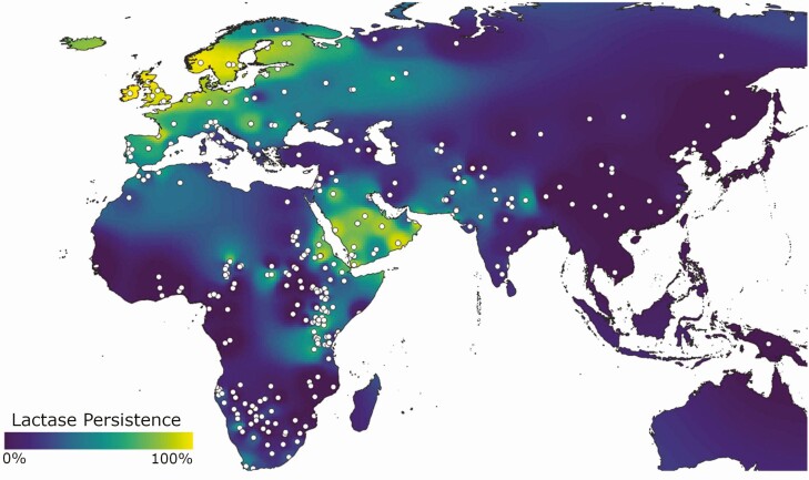 Dairying and the evolution and consequences of lactase persistence in humans.