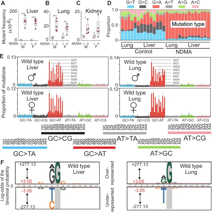 Molecular origins of mutational spectra produced by the environmental carcinogen <i>N</i>-nitrosodimethylamine and S<sub>N</sub>1 chemotherapeutic agents.