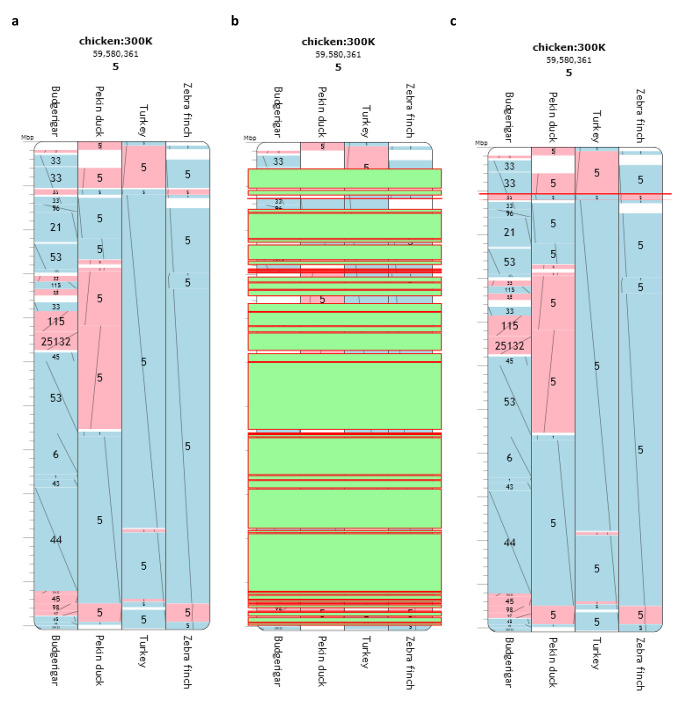 Integrative comparative analysis of avian chromosome evolution by in-silico mapping of the gene ontology of homologous synteny blocks and evolutionary breakpoint regions.