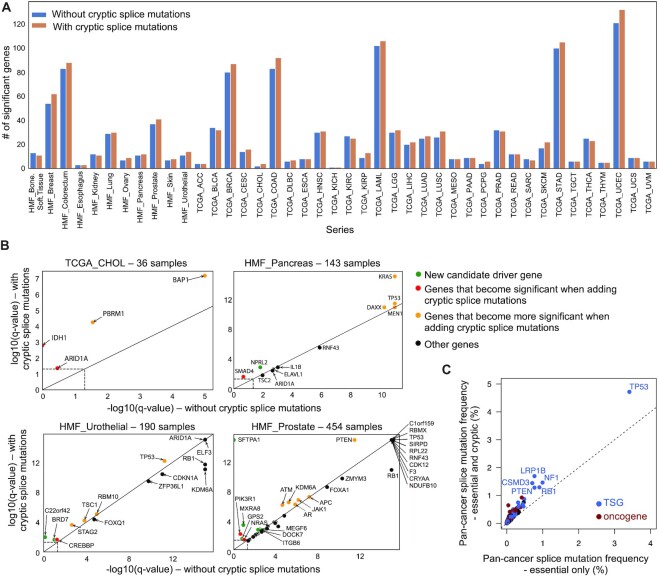 Discovering cryptic splice mutations in cancers via a deep neural network framework.