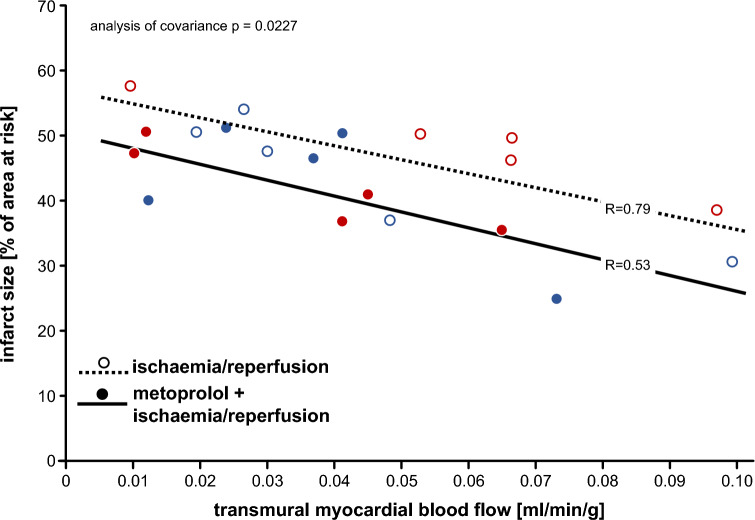 No robust reduction of infarct size and no-reflow by metoprolol pretreatment in adult Göttingen minipigs.