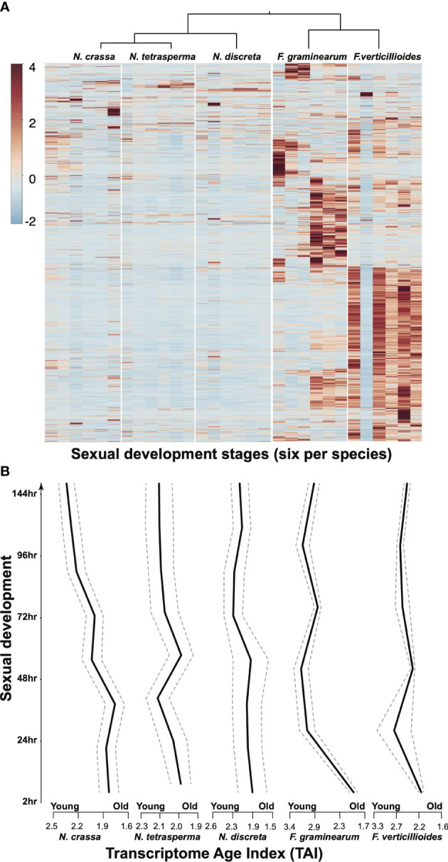 The Sordariomycetes: an expanding resource with Big Data for mining in evolutionary genomics and transcriptomics.