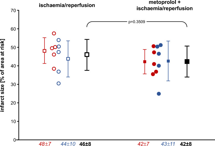 No robust reduction of infarct size and no-reflow by metoprolol pretreatment in adult Göttingen minipigs.