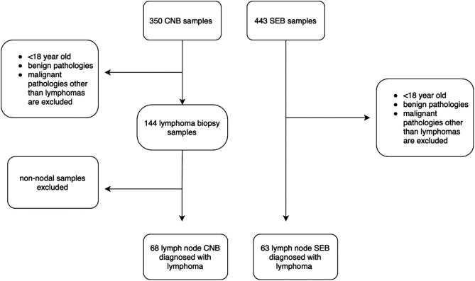 Should Core Needle Lymph Node Biopsy be a Relevant Alternative to Surgical Excisional Biopsy in Diagnostic Work Up of Lymphomas?