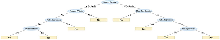 Retrospective Analysis of Factors Affecting Chronic Postoperative Pain After Thoracotomy: Single Center Experience.