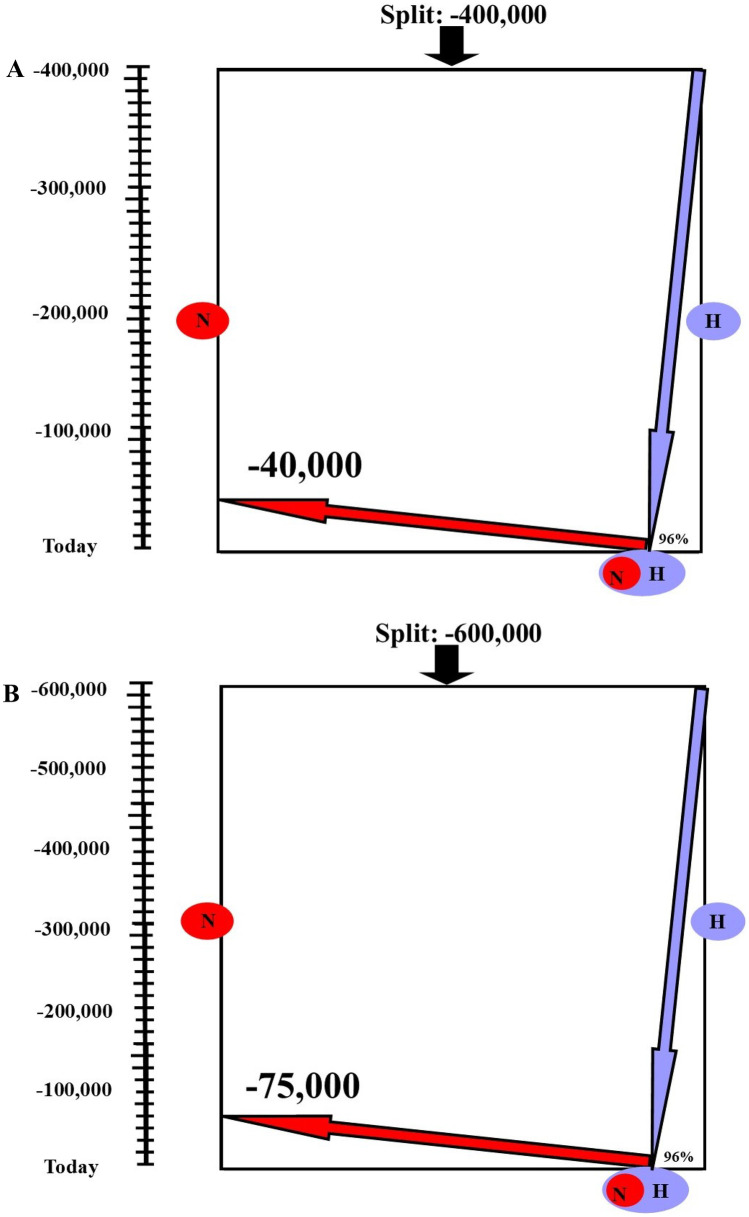 Non-ultrametric phylogenetic trees shed new light on Neanderthal introgression.