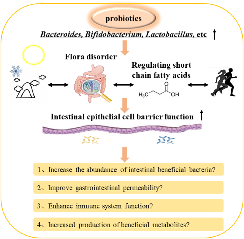 Effects of high-/low-temperature and high-altitude hypoxic environments on gut microbiota of sports people: A retrospective analysis