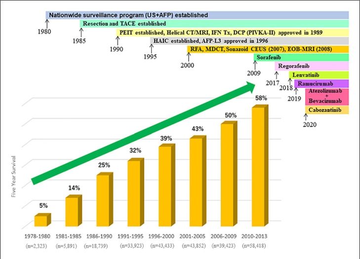 Surveillance, Diagnosis, and Treatment Outcome of Hepatocellular Carcinoma in Japan: 2023 Update.